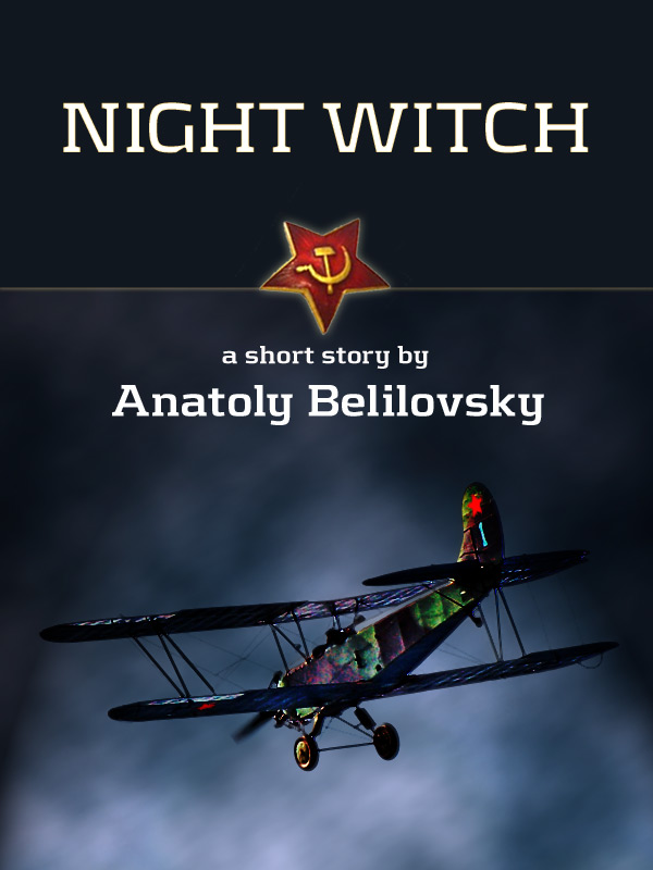 Night Witch Book Cover